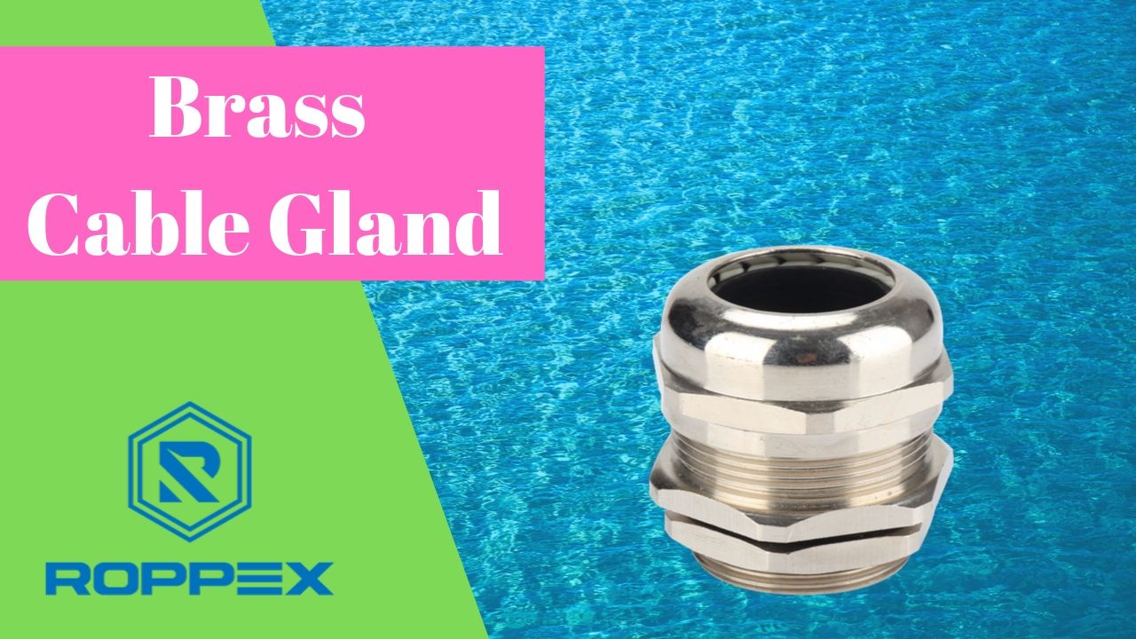 Nickel-plated brass cable gland - 1160.20 - AGRO - IP68 / IP69 / insulated