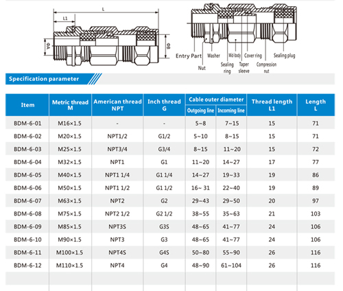 Evonation Compression Size Chart